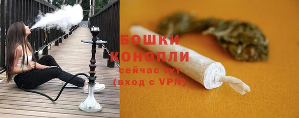 дурь Богородицк
