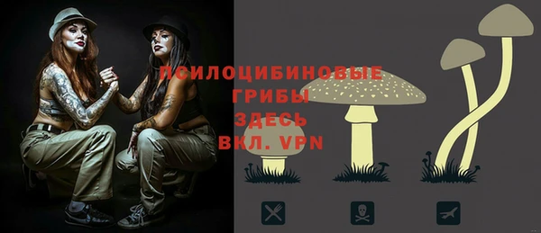 спиды Богородск