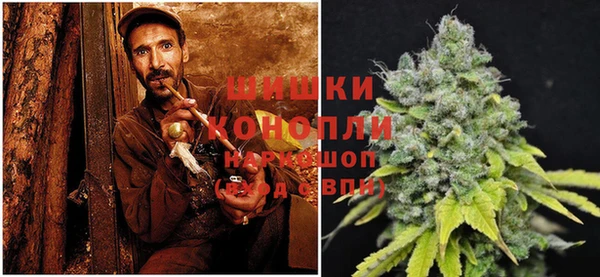 дурь Богородицк