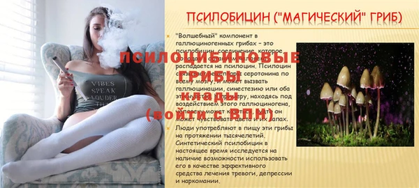 спиды Богородск