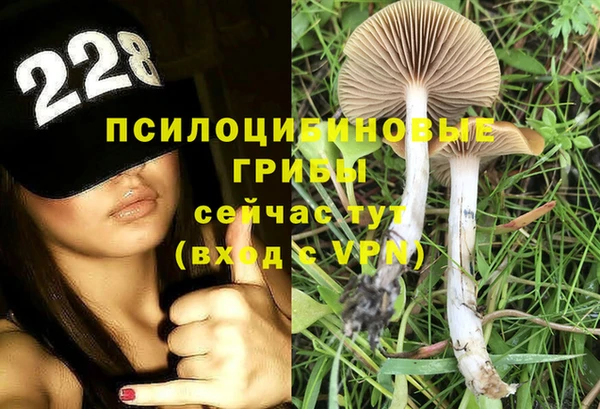MDMA Богданович
